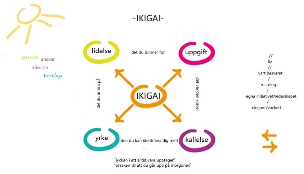 En introduktion till Ikigai